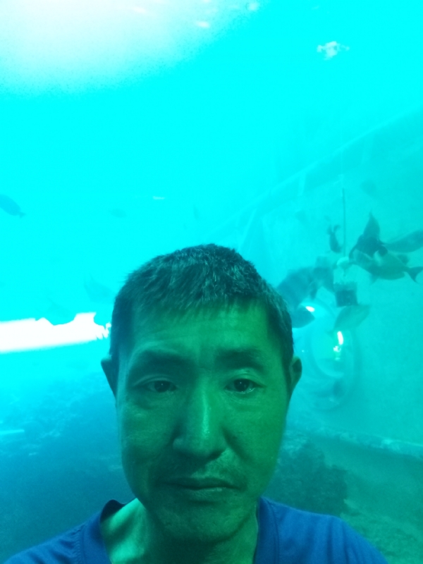 陸戰隊的第一张照片--台中残疾人相亲网